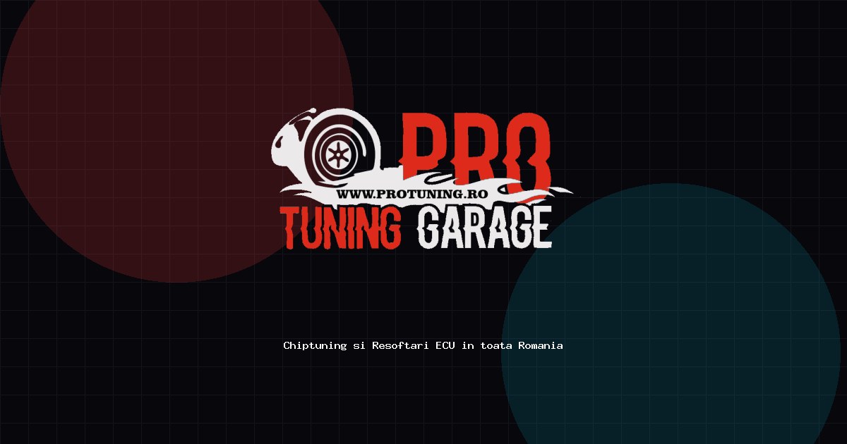 Pro P Tuning ProTuning Grage - Resoftari Chiptuning Remaps Stage Arges - Resoftari Arges